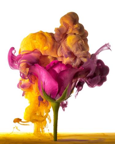 Original Floral Photography by Jirawat Plekhongthu