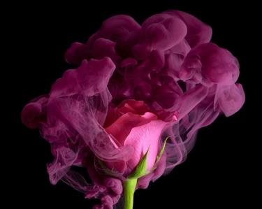 Print of Abstract Floral Photography by Jirawat Plekhongthu