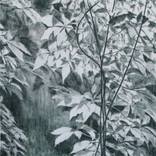 Tangled up in Grey by Marguerite Horner