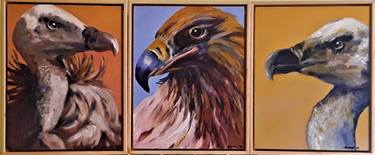 Triptych - Birds of Prey thumb