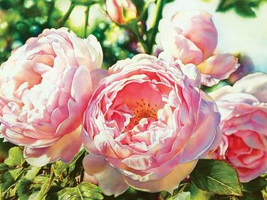 Print of Fine Art Floral Paintings by Debbie Friis-Pettitt