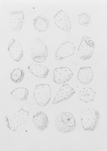 Print of Botanic Drawings by Alberto Suarez