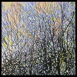 Forest Silhouette No. 9 by Barry Laden