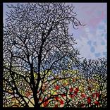 Forest Silhouette No.11 by Barry Laden