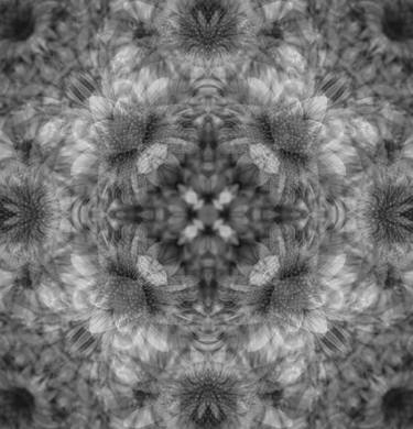 Flower kaleidoscope 2 -  Limited 12 thumb