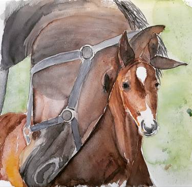 Print of Figurative Horse Paintings by Laura Bongiovanni