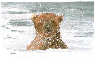 Bear in the water thumb
