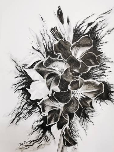 Original Fine Art Floral Drawings by Anita Mostert