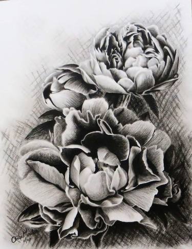 Original Impressionism Floral Drawings by Anita Mostert