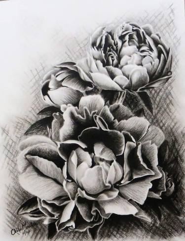 Original Charcoal Drawings From South Africa For Sale