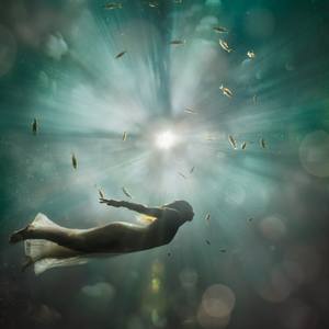 Collection Compassion, Intuition, Depth: Water Signs