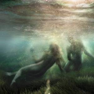 Collection Best of 2024: Photography