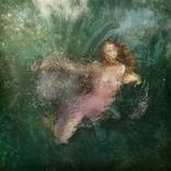 Selva I by Lexi Laine