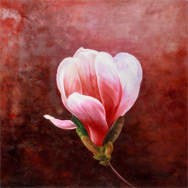 Original Realism Floral Paintings by Shawn Chen