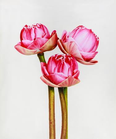 Original Realism Floral Paintings by Shawn Chen