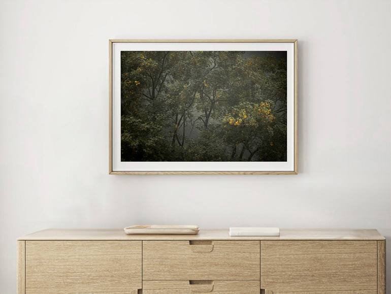 Original Abstract Landscape Photography by Jan Walczewski