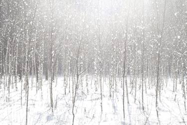 Winter Forest No.03 - Limited Edition of 30 thumb