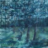 Forest by Anton Beruch