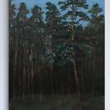 Forest by Anton Beruch