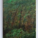 Forest by Anton Beruch