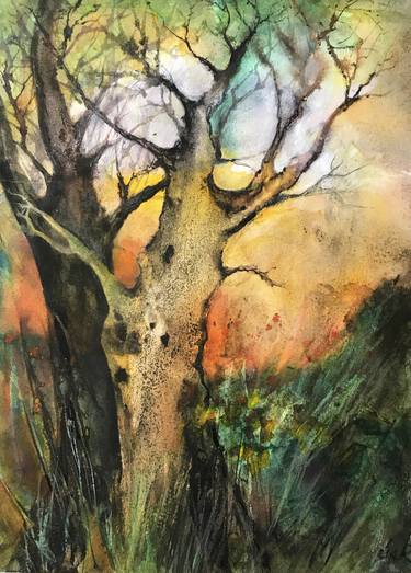 Original Impressionism Tree Paintings by Judy Frisk