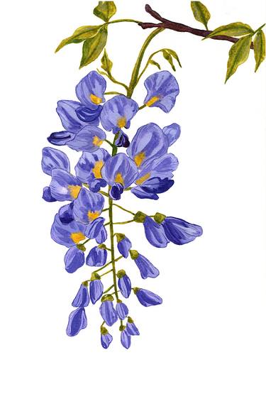 purple wisteria painting thumb
