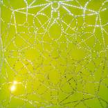 Presence of Geometry by Hayat Gul
