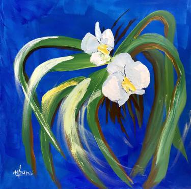 White orchid flower tropical botanical Florida art thumb