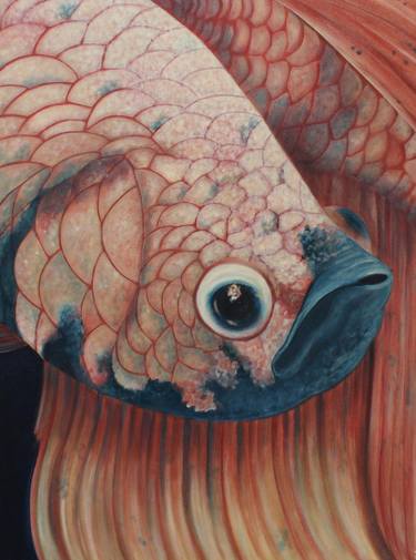 Original Figurative Fish Paintings by Gabriela Gil