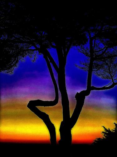 Print of Abstract Expressionism Tree Photography by Alessandro D'Agostini