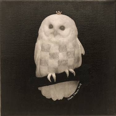 8x8 White Crown Owl I thumb