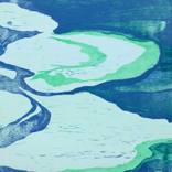 Collection Roscoe Final