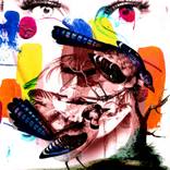 Collection Inspired by Frida Kahlo