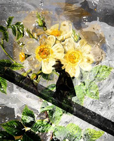 Original Abstract Expressionism Abstract Digital by Luise Eru