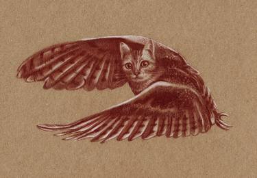 Meowl - Mythical Cat and Owl Hybrid Drawing thumb