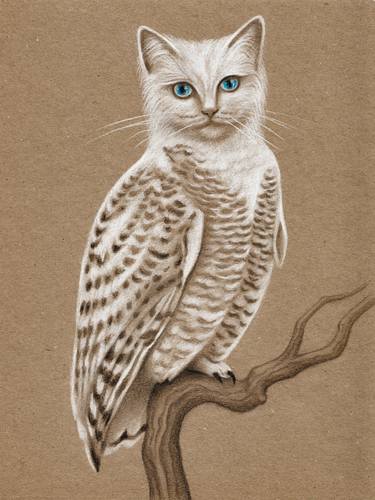 Meowl - Mythical Ragdoll Cat and Snow Owl Drawing thumb