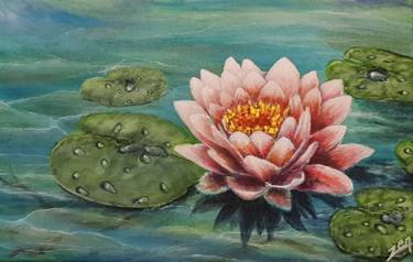 Lonely Lotus... thumb