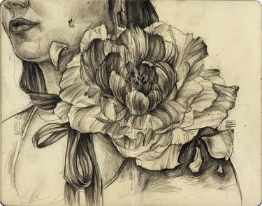 Print of Fine Art Botanic Drawings by Polina Kharlamova