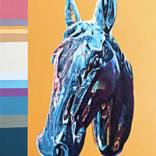 Collection Wild Wild West