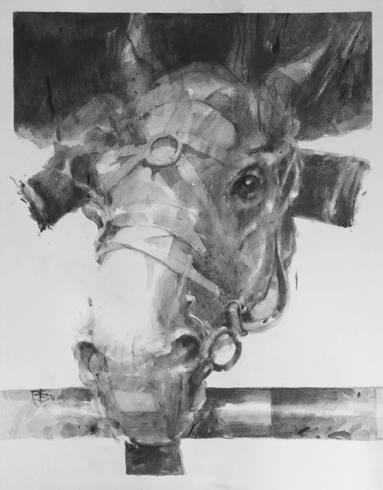 Original Horse Drawing by Tony Belobrajdic