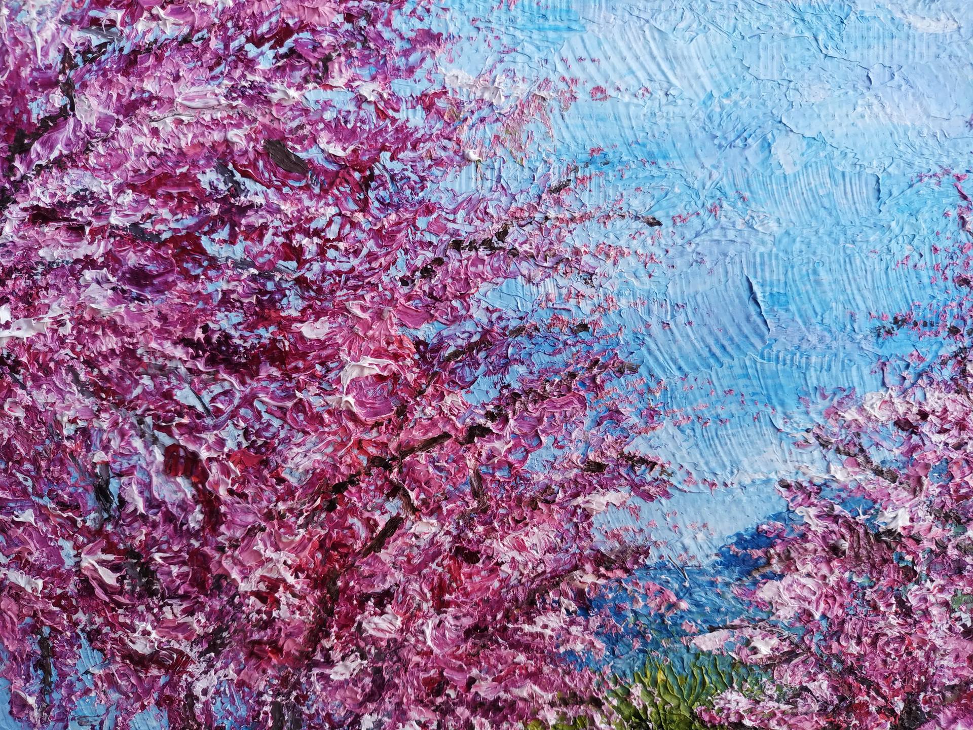 Japanese Cherry Blossom Trees | River with Bridge Road Scenery