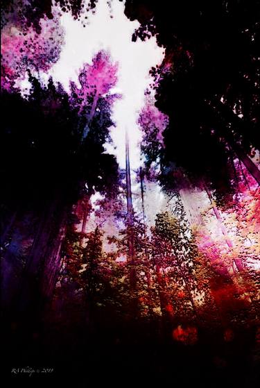 Original Fine Art Tree Mixed Media by Ronald Phillips