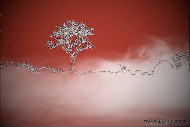 Original Expressionism Tree Photography by Ronald Phillips