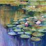 Collection Waterlilies