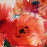 Collection Poppy flowers