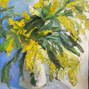 Acacia
