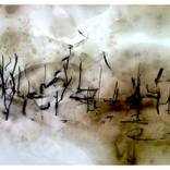 'The hand that feeds' - Sold by Riaan Van Zyl