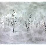'Loudness' by Riaan Van Zyl