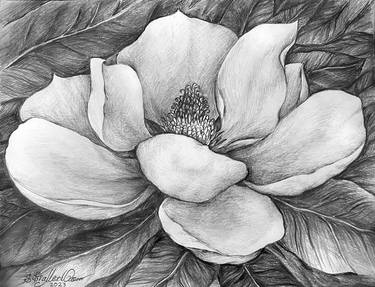 Original Realism Botanic Drawings by Sofia Goldberg