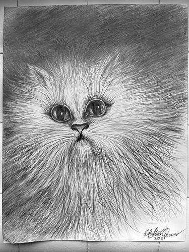 Original Animal Drawings by Sofia Goldberg